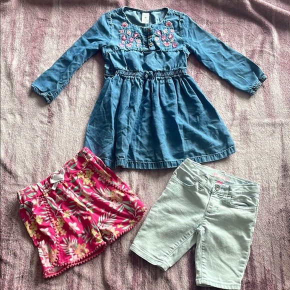 Carter,Children’s Place Lot Girl Clothes Size 4 or 4/5 - Picture 3 of 4